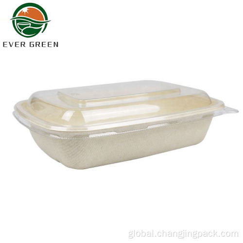 Healthy And Safe Bento Lunch Box Hot Sale Disposable Sugarcane Bagasse Lunch Box Container Factory